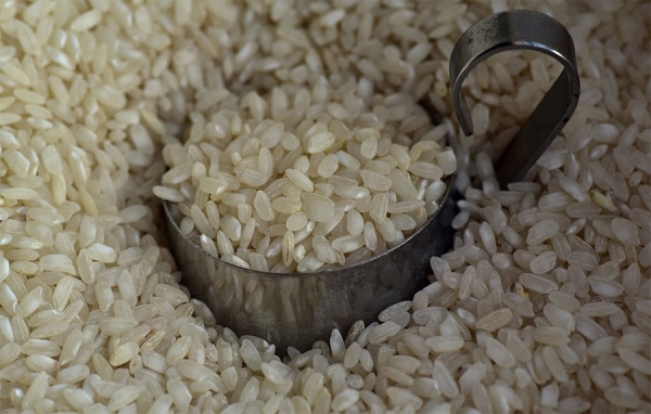 Induarroz: El problema del sector primario no son las importaciones