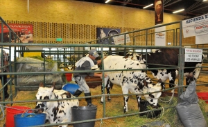 Agroexpo llega celebrando 20 a&ntilde;os de fortalecimiento tecnol&oacute;gico