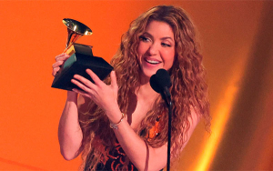 Shakira, una marca exitosa dentro y fuera de Colombia, aunque duela