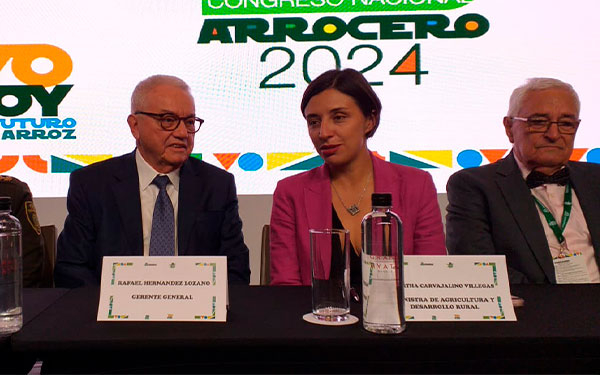 Urge eficiencia y competitividad: A los arroceros se les acaba el tiempo