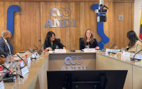Crean Junta Asesora para di&aacute;logo entre empresarios y grupos &eacute;tnicos