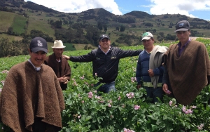 Trabajo en Colombia: &ldquo;Era malo y se da&ntilde;&oacute;&rdquo;