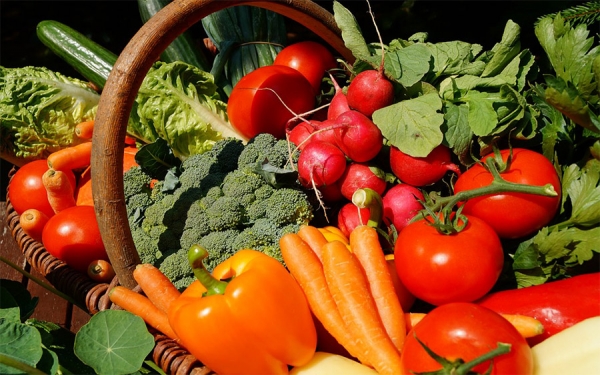 Cinco buenos h&aacute;bitos para conservar la salud