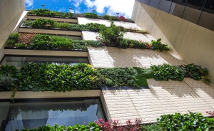 Bogot&aacute; le hablar&aacute; al mundo sobre ciudad, naturaleza y bienestar