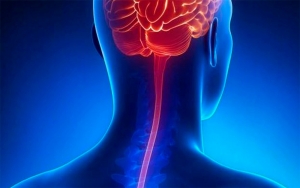 La meningitis: una de las 10 causas principales de mortalidad en adolescentes