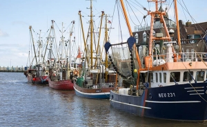 Renovado el acuerdo pesquero con Mauritania para los pr&oacute;ximos cuatro a&ntilde;os