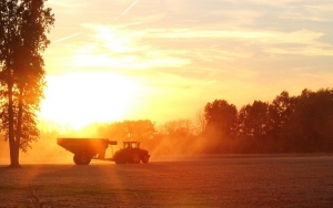 Am&eacute;rica Latina y el Caribe aumentar&iacute;an producci&oacute;n agr&iacute;cola y pesquera
