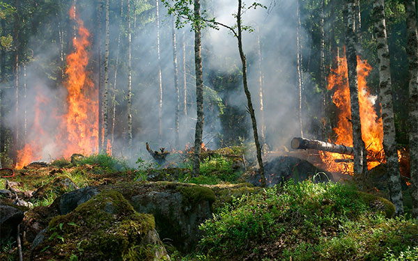 Mapas inteligentes que permiten anticiparse al fuego