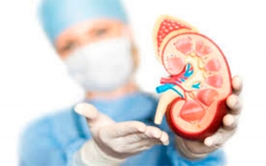 Colombia tendr&aacute; red acad&eacute;mica para prevenci&oacute;n en salud renal