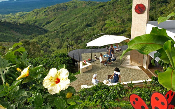 Quind&iacute;o, caficultura que acompa&ntilde;&oacute; con arrojo la diversificaci&oacute;n productiva