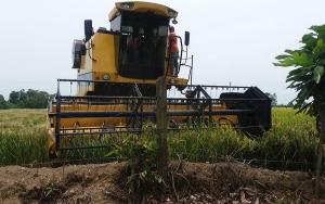 Productores del campo est&aacute;n pagando cr&eacute;ditos con el sistema gota a gota