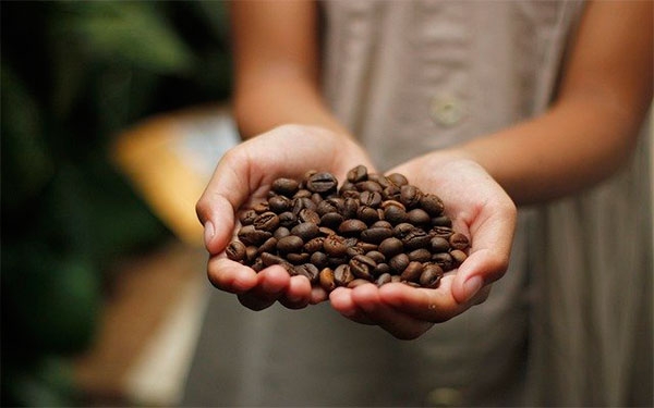 Programa de calidad sostenible AAA de Nespresso cumple 15 a&ntilde;os