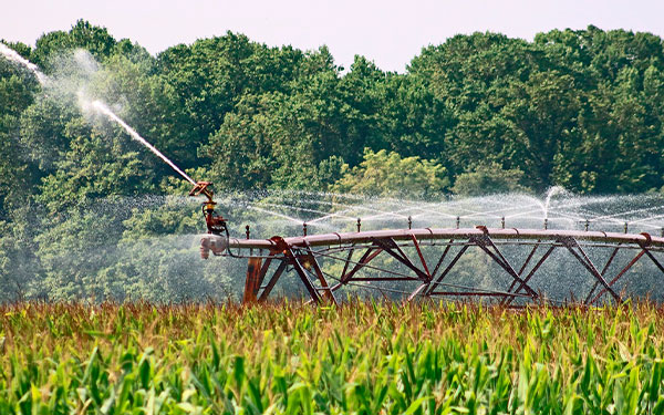 Explotaciones agr&iacute;colas est&aacute;n dejando sin agua al campesinado: AsoEspinal