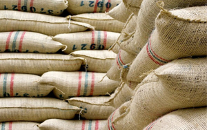 Repunta producci&oacute;n de caf&eacute;. FNC contin&uacute;a con fertilizaci&oacute;n y renovaci&oacute;n