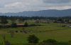 La jurisdicci&oacute;n agraria: &iquest;justicia rural o nueva f&aacute;brica de incertidumbre?