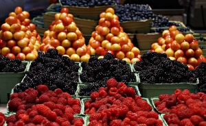 Empresas chilenas presentar&aacute;n en Colombia oferta de alimentos de ese pa&iacute;s