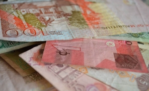 India recorta en medio punto el precio del dinero, la mayor bajada en 4 a&ntilde;os