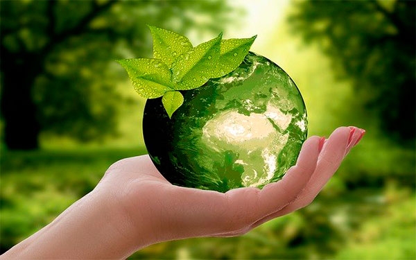 Apropet alista US$20 millones para expansi&oacute;n y optimizaci&oacute;n de planta