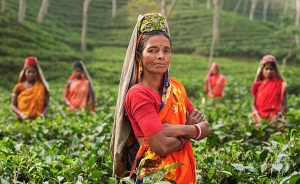 La India ser&aacute; el pa&iacute;s m&aacute;s poblado del mundo en siete a&ntilde;os, seg&uacute;n la ONU