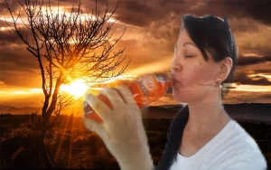 Pese a la guerra fr&iacute;a de las gaseosas, el C&oacute;ndor no est&aacute; en v&iacute;a de extinci&oacute;n