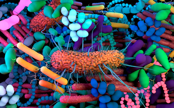 Superbacterias causar&iacute;an hasta 40 millones de muertes en los pr&oacute;ximos 25 a&ntilde;os