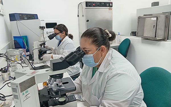 Centro Experimental las Lagunas, arroz con mejoramiento a toda prueba