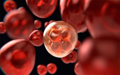 Por qu&eacute; los hombres son m&aacute;s propensos a desarrollar c&aacute;ncer