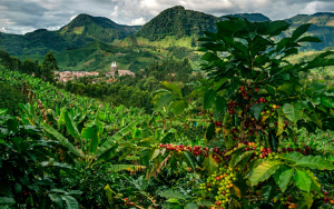 Por FNC, SAC invita al gobierno a proteger libre asociaci&oacute;n y trabajo gremial