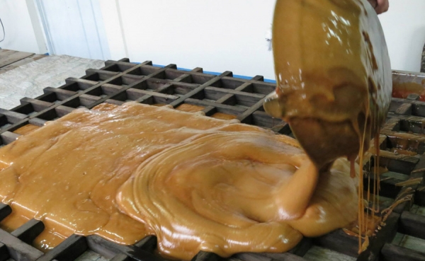 Tobia: Un paradisiaco sitio de monta&ntilde;a con aroma de ca&ntilde;a y sabor a panela