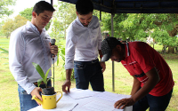 Peque&ntilde;os productores de palma reciben pl&aacute;ntulas de paz y progreso