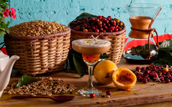 Quind&iacute;o: Origen del caf&eacute; excelso que aprendi&oacute; a diversificar su econom&iacute;a