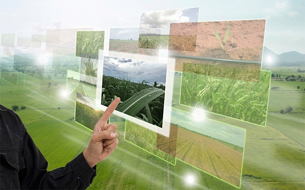 Conexi&oacute;n Agr&iacute;cola, el campo en l&iacute;nea, rentabilidad y relevo generacional