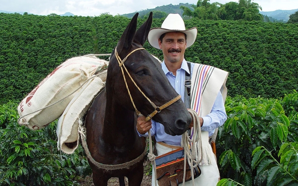 Fedecaf&eacute; dice que multinacionales deben ponerse la mano en el coraz&oacute;n