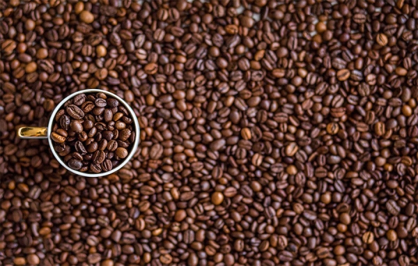 Noruega le apuesta a productores que cosechar&aacute;n el &ldquo;Caf&eacute; del futuro&rdquo;