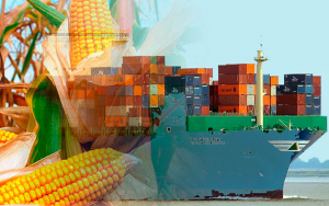 No podemos comernos el cuento que importar es m&aacute;s barato: Fenalce