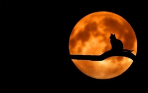 Se apaga Electricaribe