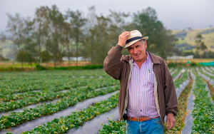 Desde 2013, Colombia mostr&oacute; m&aacute;s abastecimiento en centrales mayoristas