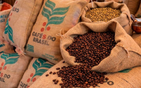 Brasil: prev&eacute;n r&eacute;cord con m&aacute;s de 4 millones de toneladas de caf&eacute;
