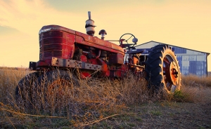 Con la paz el campo rejuvenecer&aacute; y brindar&aacute; opciones: Iragorri