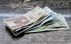 Hungr&iacute;a dice que el euro no es tan seguro y que tardar&aacute; d&eacute;cadas en adoptarlo