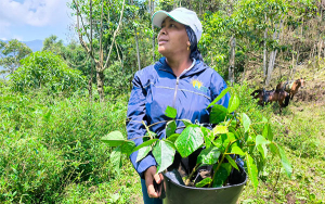 Horizonte sostenible, ruta para transformaci&oacute;n agr&iacute;cola: Syngenta