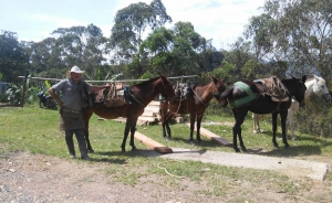 CGT le pide a la OIT salvavidas laboral para el campo