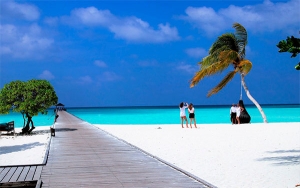 Travel Expo, una ocasi&oacute;n para programar viajes y vacaciones