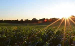 Decreto le da un duro golpe a la agricultura y a la industria farmac&eacute;utica
