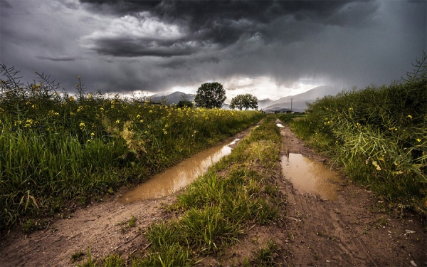 Productores deben tomar medidas preventivas en ola invernal
