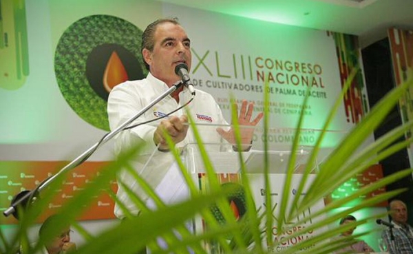 La palma crece con empleo, energ&iacute;a y poder transformador: Iragorri