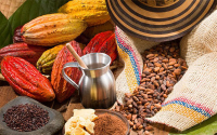 Chocolate, necesita m&aacute;s cacao, pero menos az&uacute;car y mantecas