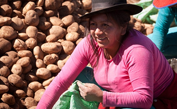 Am&eacute;rica Latina y el Caribe cuentan con sistema de informaci&oacute;n para mercados justos