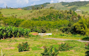 Recuperaci&oacute;n de los suelos, una apuesta del modelo de Agricultura Tropical