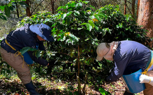 Agro colombiano, liquidez y pagos con nueva opci&oacute;n de confirming BBVA
